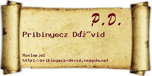 Pribinyecz Dávid névjegykártya